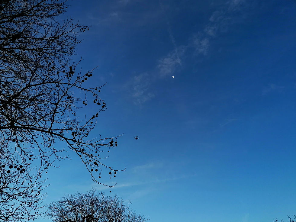 Dusk sky showing the moon in the distant