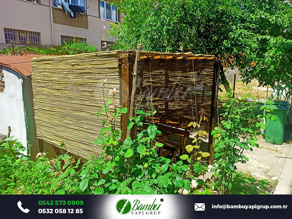 kamış hasır trend