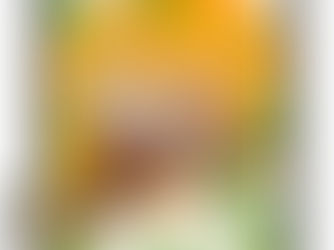 Kamış Hasır Fiyatları İstanbul