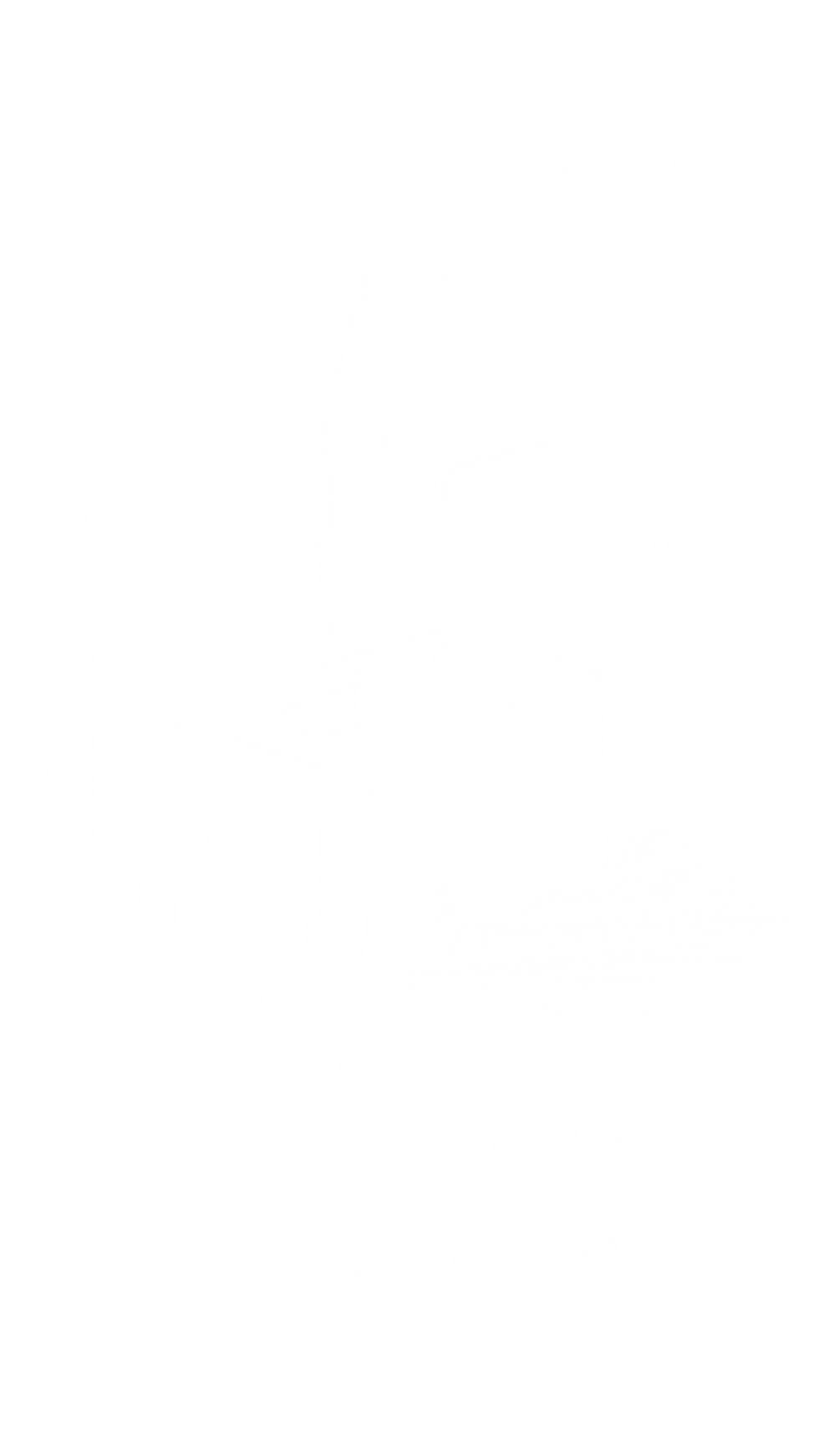 Sketch iniziali di Luna Hembra