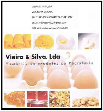 VIEIRA & SILVA LDA