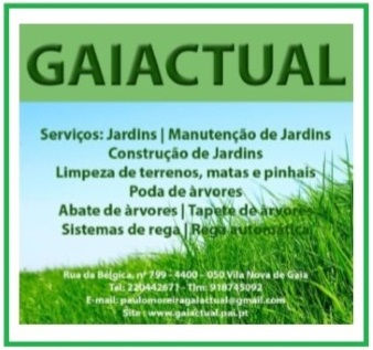GAIA ACTUAL