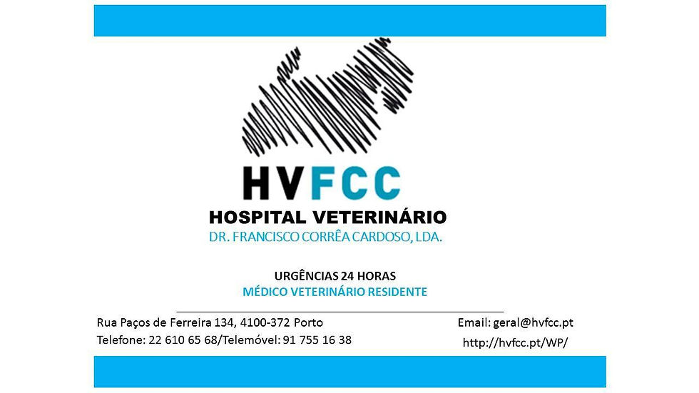 HOSPITAL VETERINÁRIO
