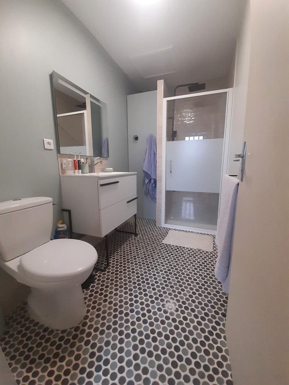 Rénovation Aménénagement Pose Salle de bain
