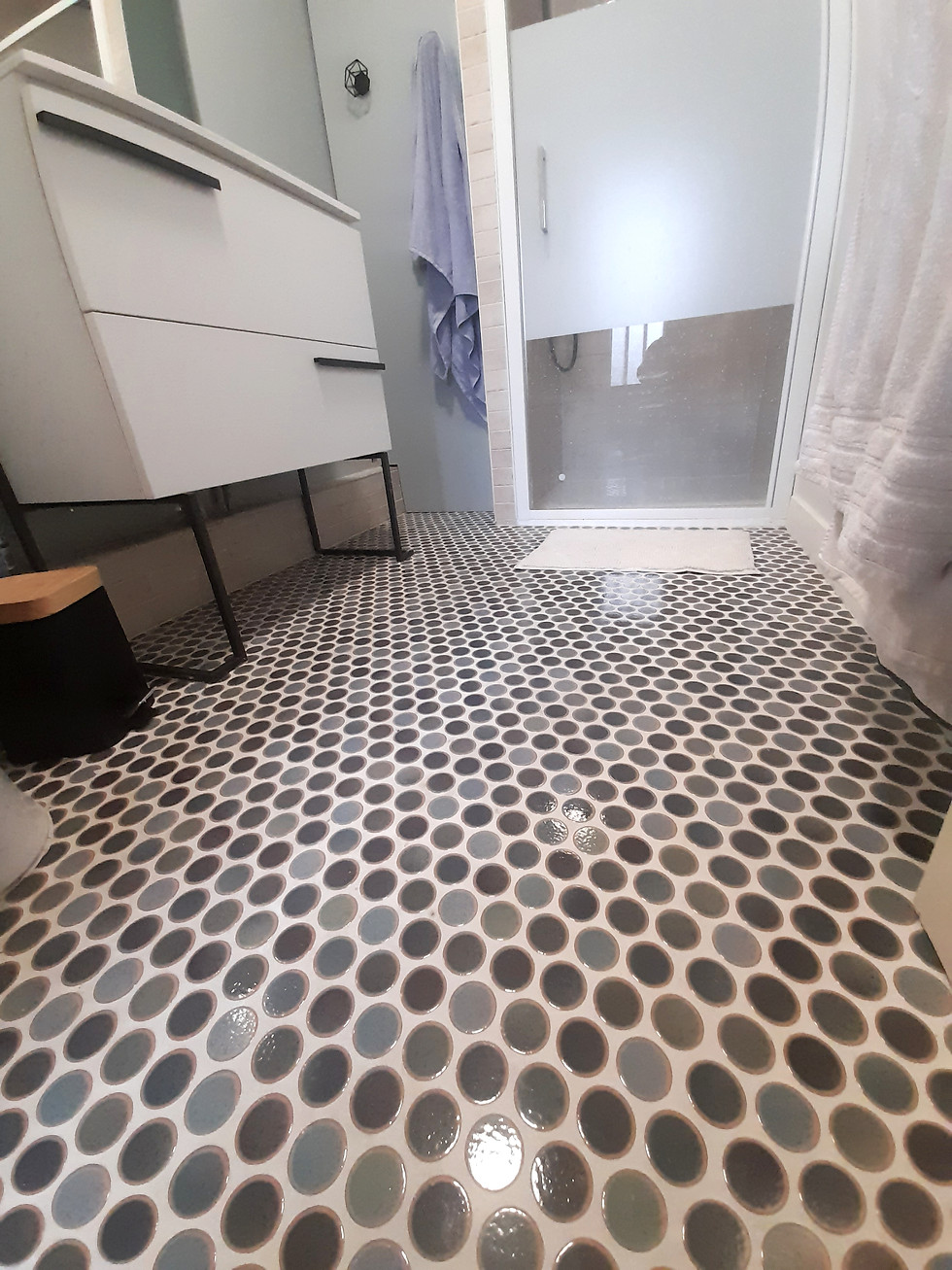 Rénovation Aménénagement Pose Salle de bain
