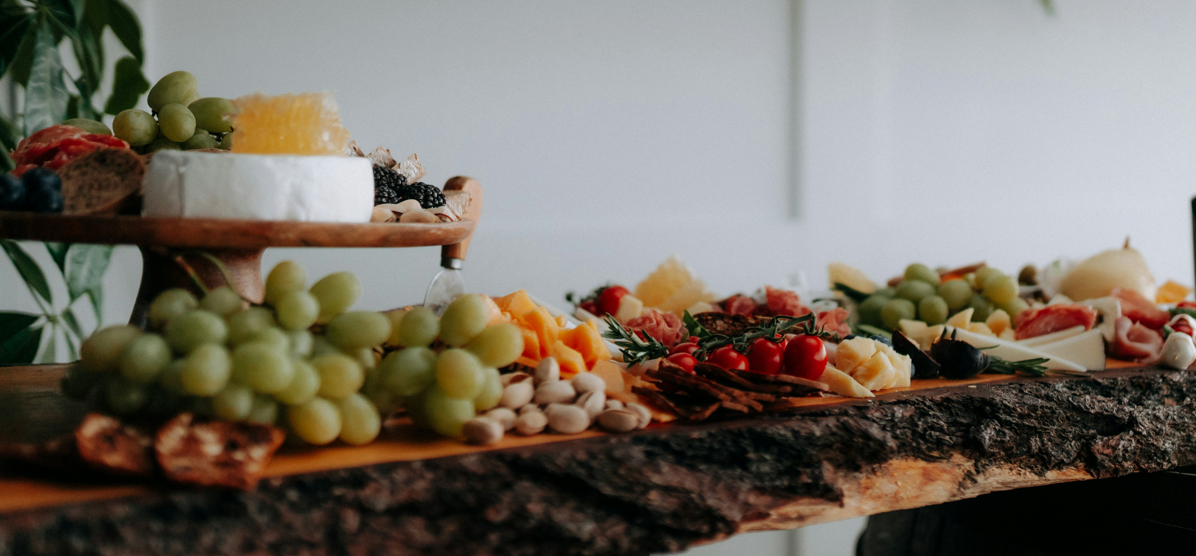 Arranged Food and Objects