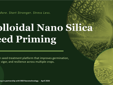🌱 Launching a New Direction in Seed Treatment with Colloidal Nano Silica (CNS)