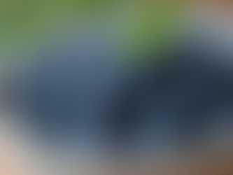 10 Research-Backed Superfoods That Truly Deliver on Health Benefits