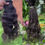 Thumbnail: Virgin Wavy Loc Extensions 