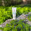 Miniatyrbild: GENOSYS Moisture Replenishing Hyaluron Cream