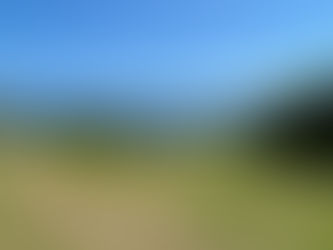 It is not commonly known in Japan that a fierce battle between Japan and Mongolia was fought on the east coast of Iki Island in 1281.