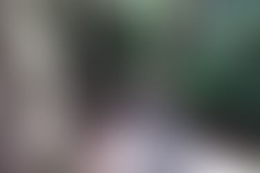 The World Heritage 'Kumano Kodo' pilgrimage routes.