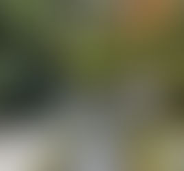 Ho-nen, a venerable Buddhist priest, practiced asceticism at a hermitage in Kyoto late in his life.