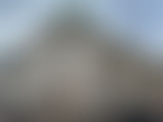 The Yokohama Specie Bank in Yokohama City was established in 1880 for the sake of international payment for trade with foreign countries.