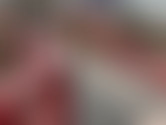 The Hachiman-bashi (the former Danjo-bashi) in Koto-ku, Tokyo, is Japan's oldest iron bridge.