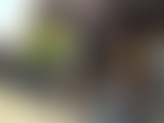 Sengaku-ji Buddhist Temple in Tokyo is the resting place of those who committed seppuku (hara-kiri) in connection with the Ako Incident (Chushingura).