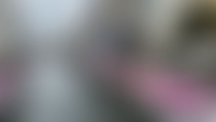 A yakata-bune, literally meaning a boat shaped like a house, is a Japanese-style pleasure boat to enjoy nice scenery with food and drinks.