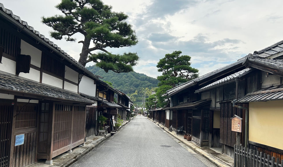 Omi-hachiman area in Shiga Prefecture produced leading wealthy merchants, the so-called Omi-shonin, in the 16th-19th century.