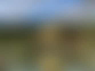 Kinkaku Golden Pavilion and annexed gardens represent the Buddhist paradise in this world.