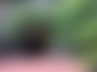 Toi Gold Mine used to boast Japan's second largest amount of gold production.