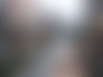 "Yanagi-bashi" once was a leading "kagai" geisha district of Tokyo.