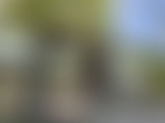 The mansion of the Tayasu family and the Shimizu family stood in present Kitano-maru Park in Tokyo.