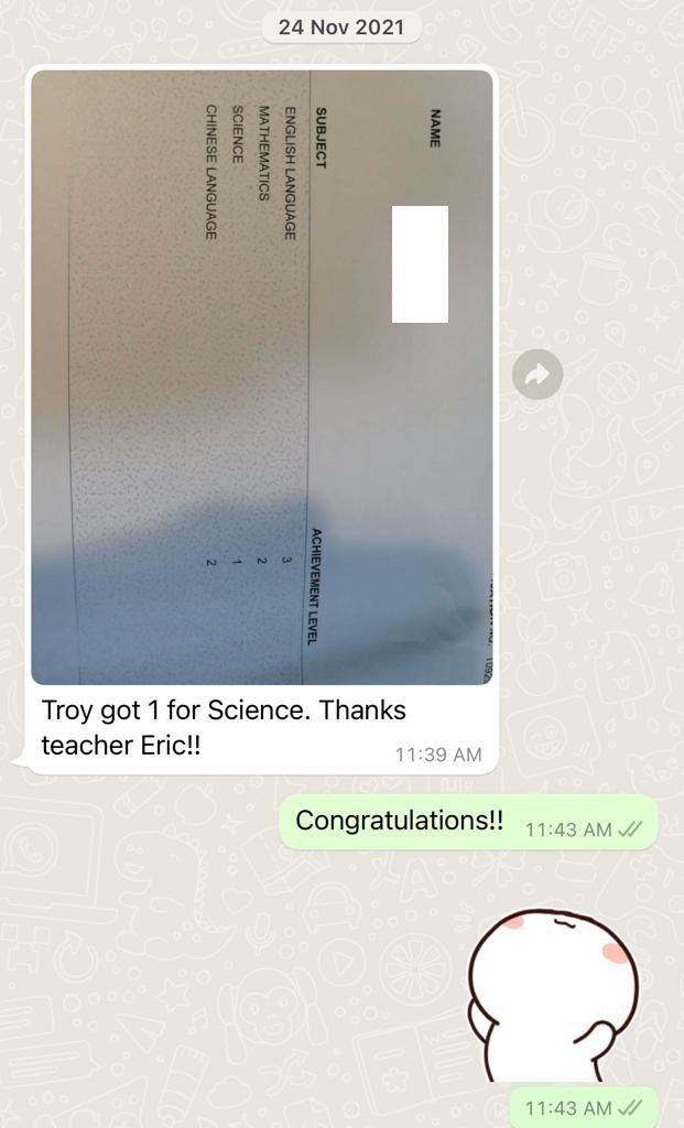 Troy P6