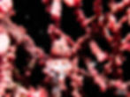 ree
