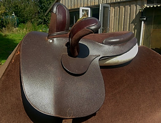 owen Sidesaddle_edited.jpg