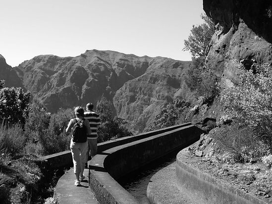 07_Imagem_Madeira.jpg
