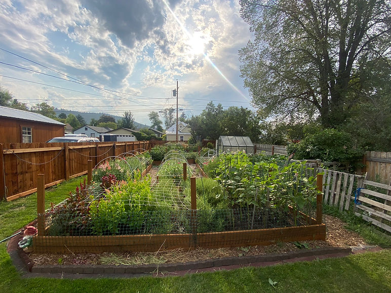 Garden View.JPEG