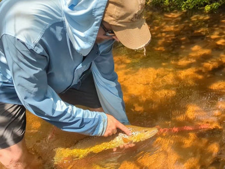 Man holding a fish in a river while wading in the river.