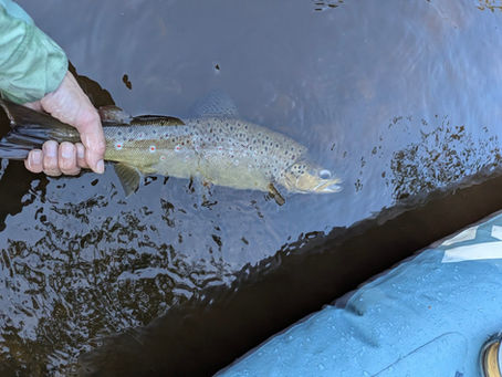 A hand over the side of a kayak holding the tail of a fish