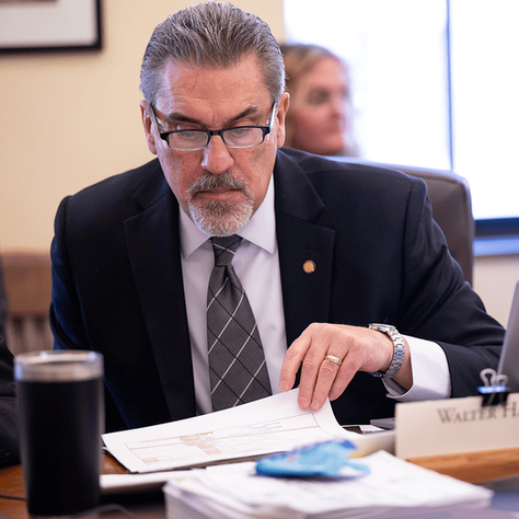 Walt reviewing legislature during a House session.