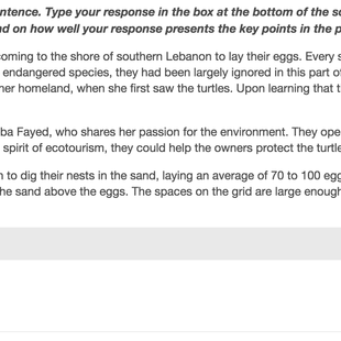 📝 Cách làm dạng bài “Summarize Written Text” trong PTE Writing