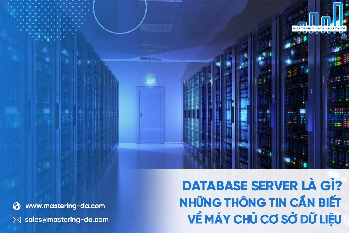 Example Databse Server Database Server là gì? Những thông tin cần biết về Máy chủ cơ sở dữ liệu