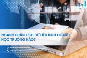 Ngành Phân Tích Dữ Liệu Kinh Doanh Học Trường Nào? Ở Đâu?