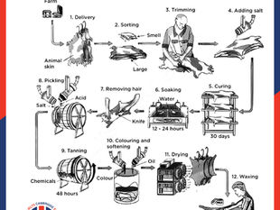 Vocabulary + Collocations cho đề Task 1 ngày 11/2 và Task 2 ngày 13 trên giấy