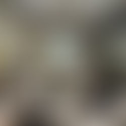 07 slots cho các lớp tháng 7