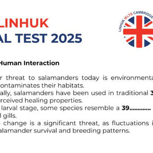 ĐỀ IELTS ACTUAL TEST LISTENING NGÀY 13/2/2025