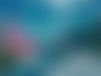 Du học Na Uy 2025: Từ A đến Z cho sinh viên Việt Nam