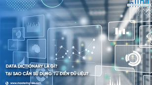 Data Dictionary là một tập hợp siêu dữ liệu bao gồm tên đối tượng, loại dữ liệu, kích thước, phân loại và mối quan hệ với các nội dung dữ liệu khác.