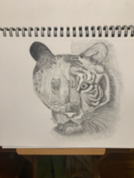 Original Tiger Drawing