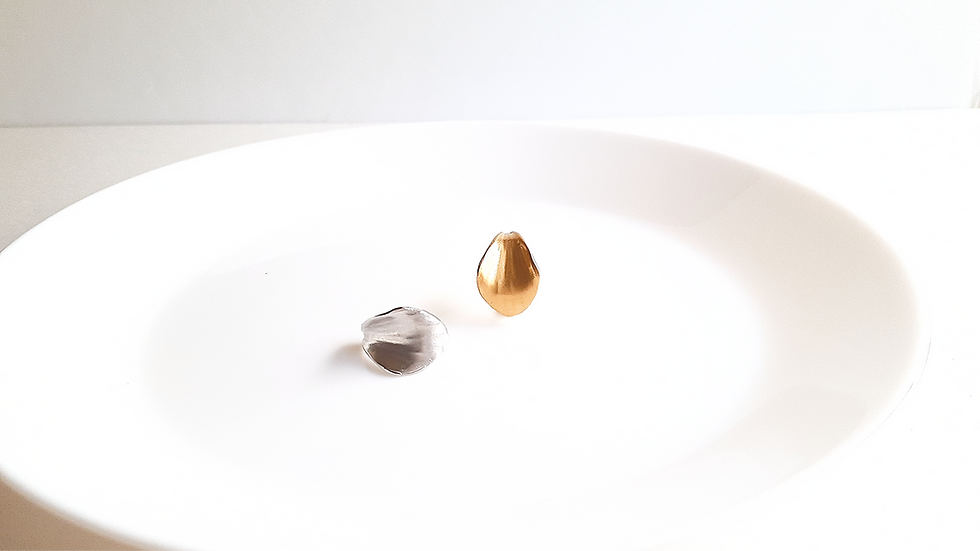 IMG_20251209_093901_edited