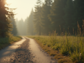 Get Certified as a Dental Radiation Technologist in Maryland with CHCI's Dental Assistant Program