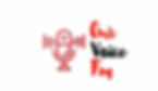 logo OvFm.jpg