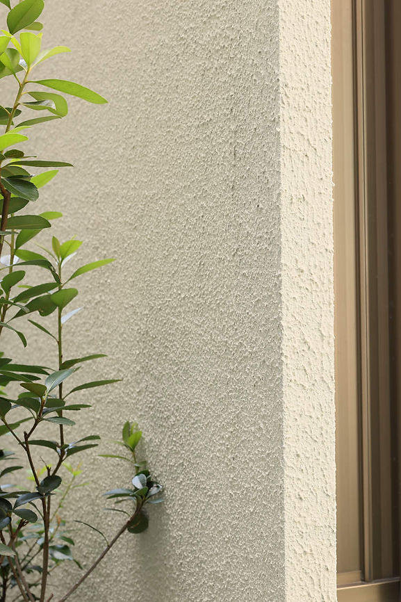 shikoku kasei wall paint view (21).jpeg