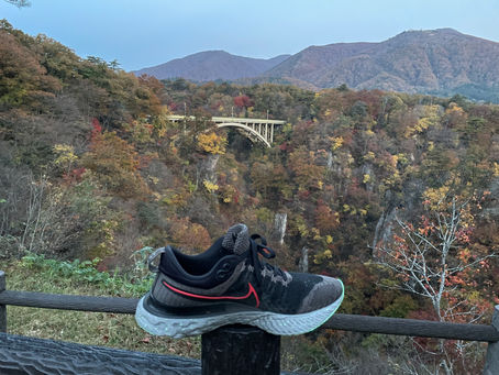 231103-23 宮城・栃木