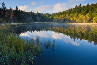 Windgfällweiher (Badesee)