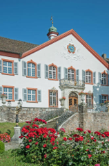 Weingut Büchin